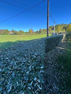 Paysagiste à Javerlhac