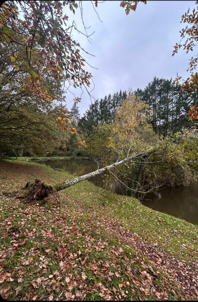 Paysagiste à Javerlhac