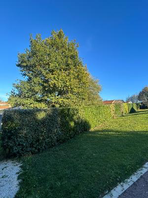 Paysagiste à Javerlhac